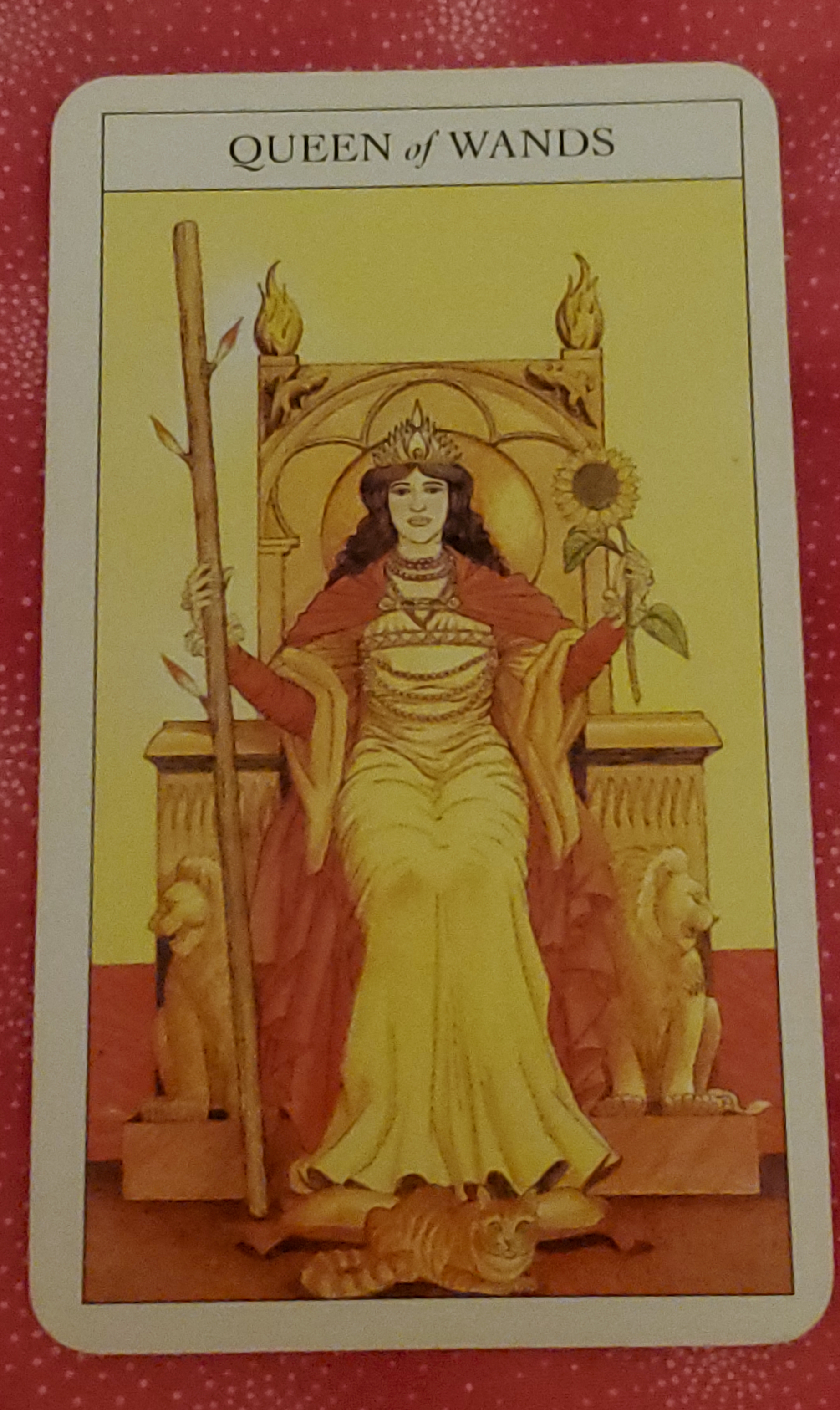 20211006_184331-e1633571211882